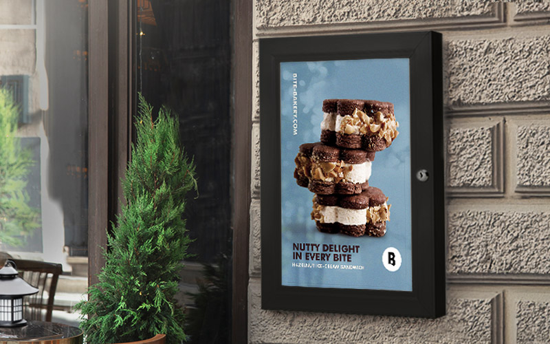 Poster case with hinged lockable door