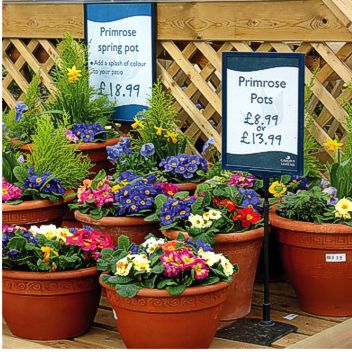 Garden Retail Display