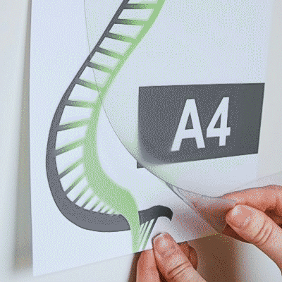 Self cling notice holder