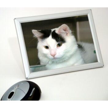 Desktop photo frame
